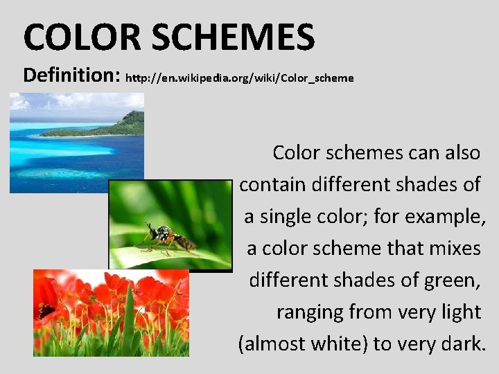 COLOR SCHEMES Definition: http: //en. wikipedia. org/wiki/Color_scheme Color schemes can also contain different shades