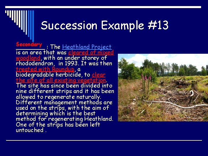 Succession Example #13 Secondary ____ : The Heathland Project is an area that was