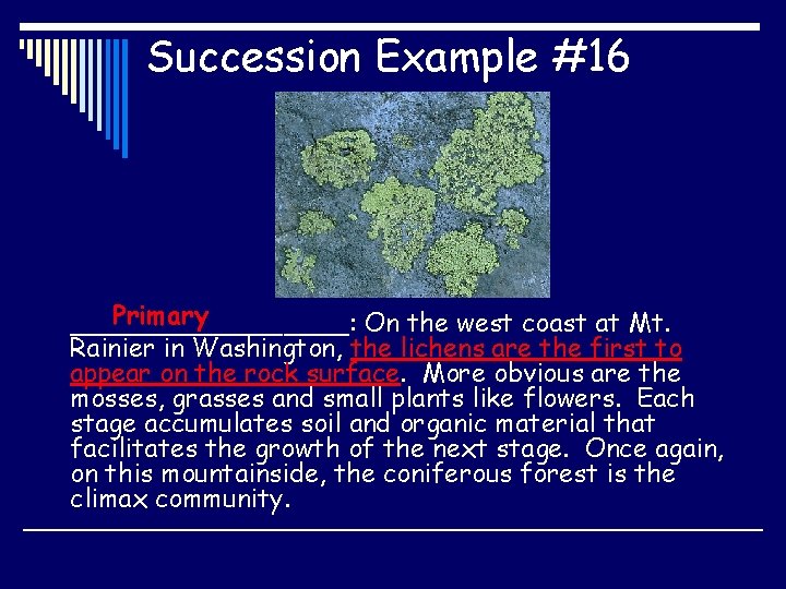 Succession Example #16 Primary _________: On the west coast at Mt. Rainier in Washington,