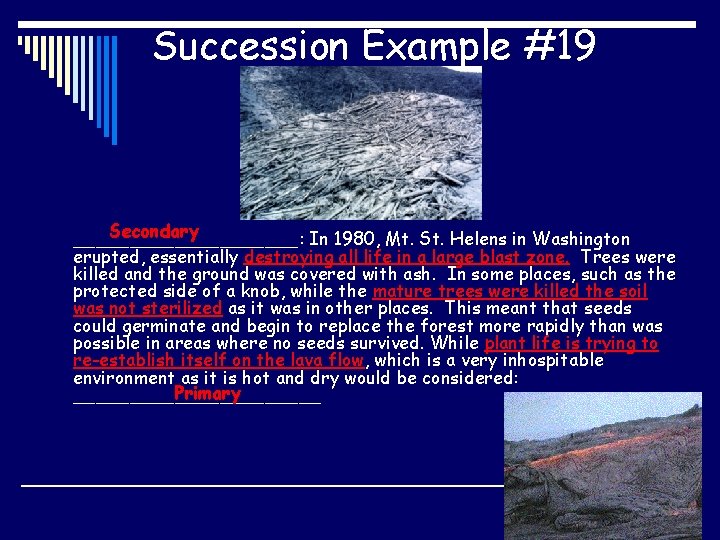 Succession Example #19 Secondary __________: In 1980, Mt. St. Helens in Washington erupted, essentially