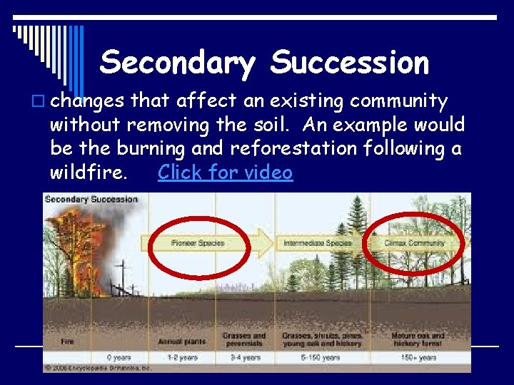 Secondary Succession o changes that affect an existing community without removing the soil. An