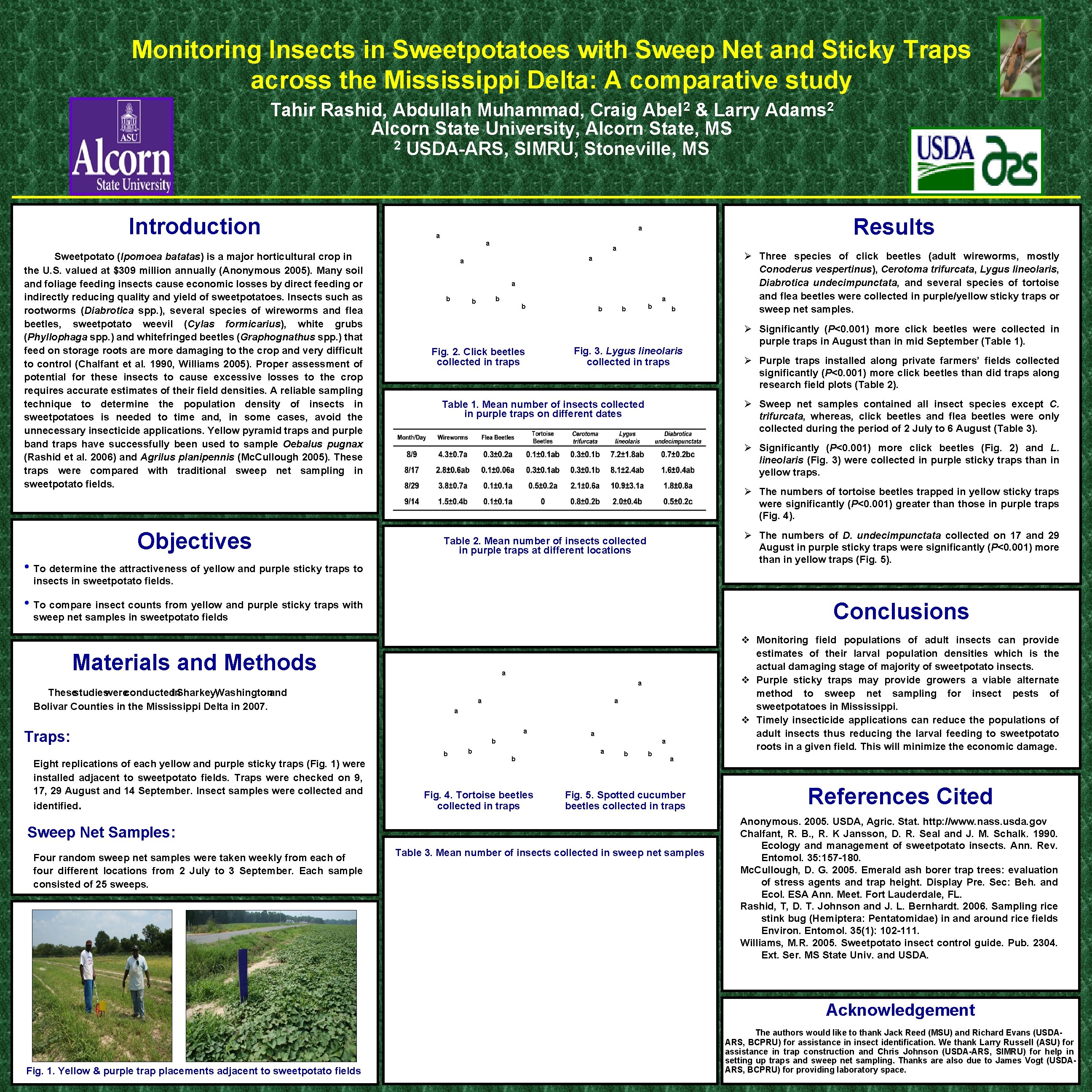 Monitoring Insects in Sweetpotatoes with Sweep Net and