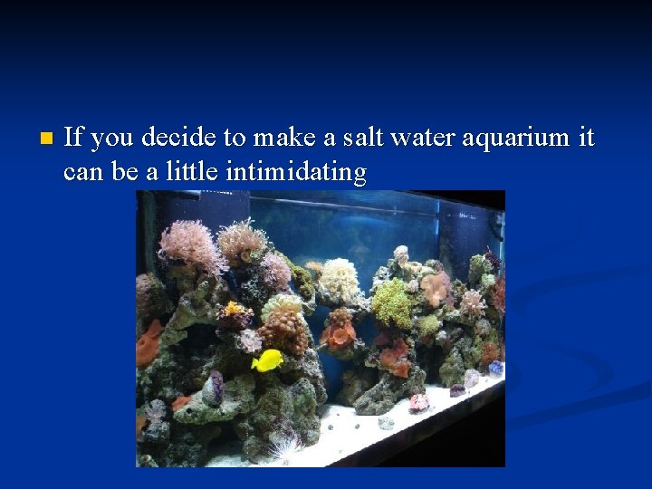 n If you decide to make a salt water aquarium it can be a