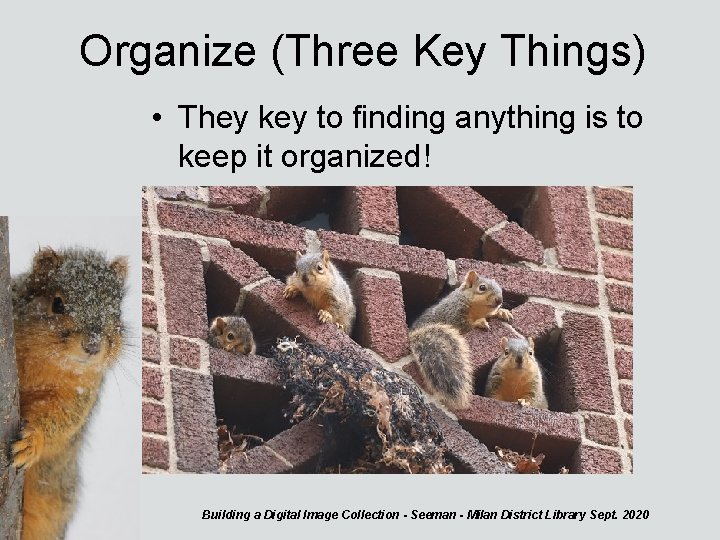 Organize (Three Key Things) • They key to finding anything is to keep it