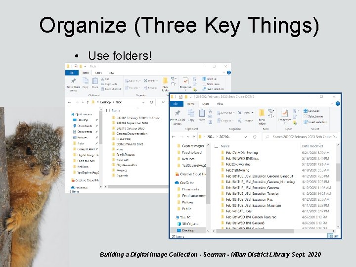 Organize (Three Key Things) • Use folders! Building a Digital Image Collection - Seeman
