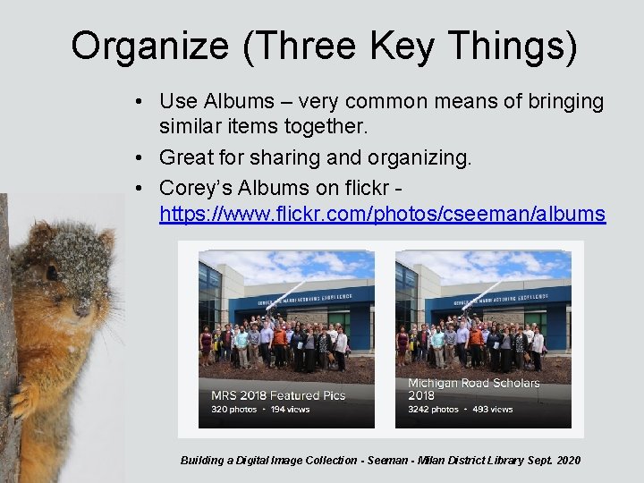 Organize (Three Key Things) • Use Albums – very common means of bringing similar