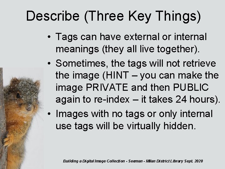 Describe (Three Key Things) • Tags can have external or internal meanings (they all