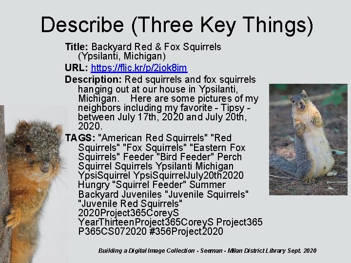 Describe (Three Key Things) Title: Backyard Red & Fox Squirrels (Ypsilanti, Michigan) URL: https: