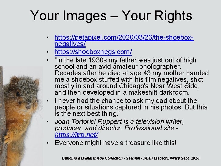 Your Images – Your Rights • https: //petapixel. com/2020/03/23/the-shoeboxnegatives/ • https: //shoeboxnegs. com/ •