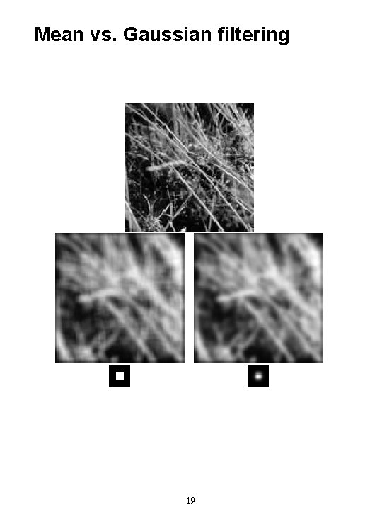 Mean vs. Gaussian filtering 19 