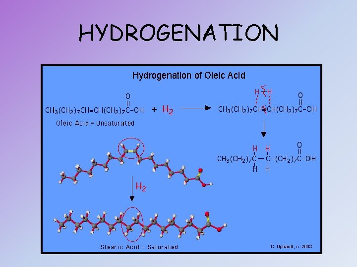 HYDROGENATION 