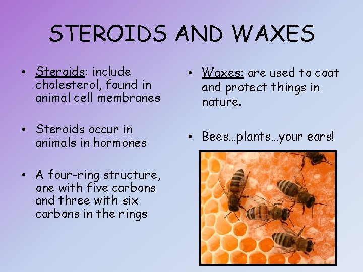STEROIDS AND WAXES • Steroids: include cholesterol, found in animal cell membranes • Waxes: