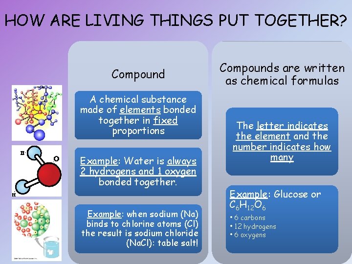 HOW ARE LIVING THINGS PUT TOGETHER? Compound A chemical substance made of elements bonded