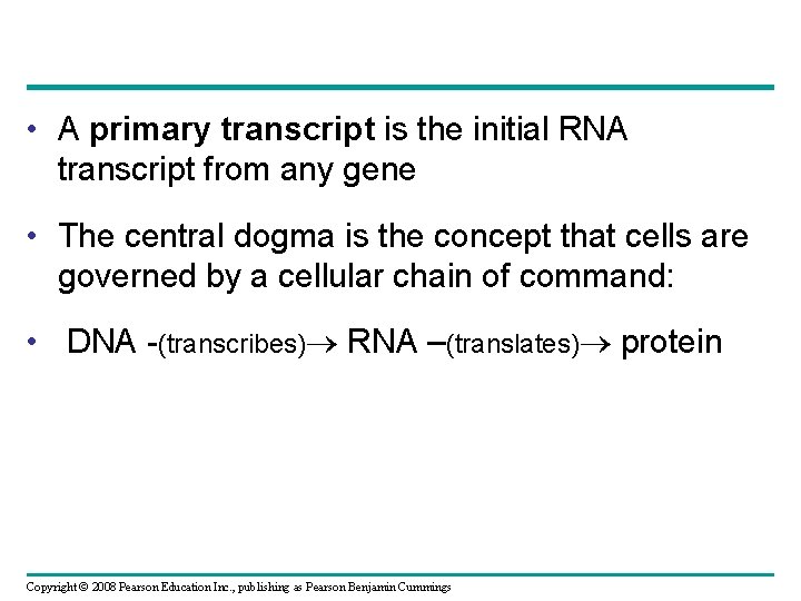  • A primary transcript is the initial RNA transcript from any gene •