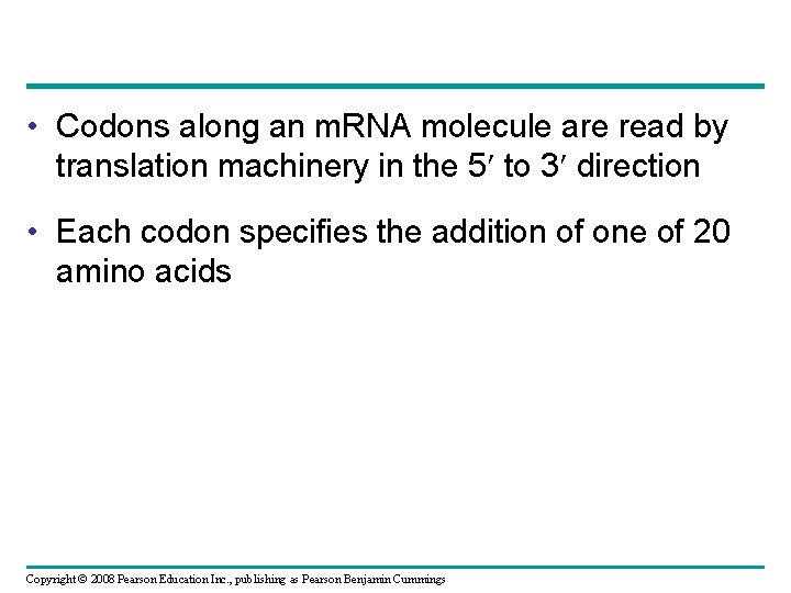  • Codons along an m. RNA molecule are read by translation machinery in