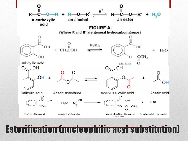 Esterification (nucleophilic acyl substitution) 