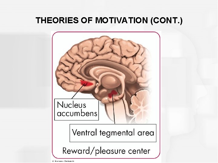 THEORIES OF MOTIVATION (CONT. ) 