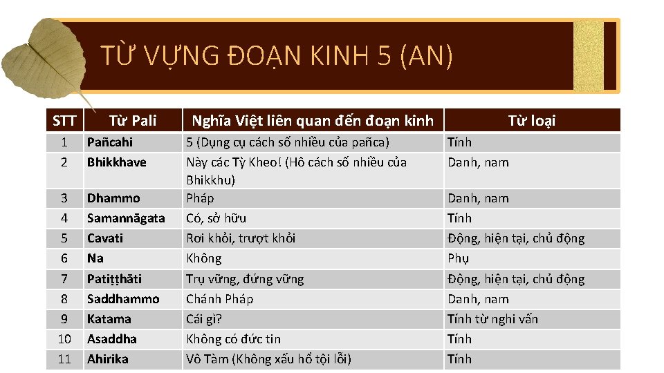 TỪ VỰNG ĐOẠN KINH 5 (AN) STT Từ Pali 1 2 Pañcahi Bhikkhave 3