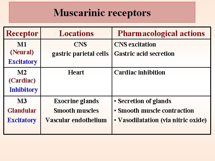 Muscarinic receptors Receptor M 1 (Neural) Excitatory Locations Pharmacological actions CNS excitation gastric parietal