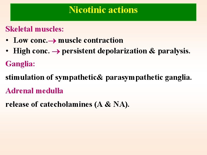 Nicotinic actions Skeletal muscles: • Low conc. muscle contraction • High conc. persistent depolarization