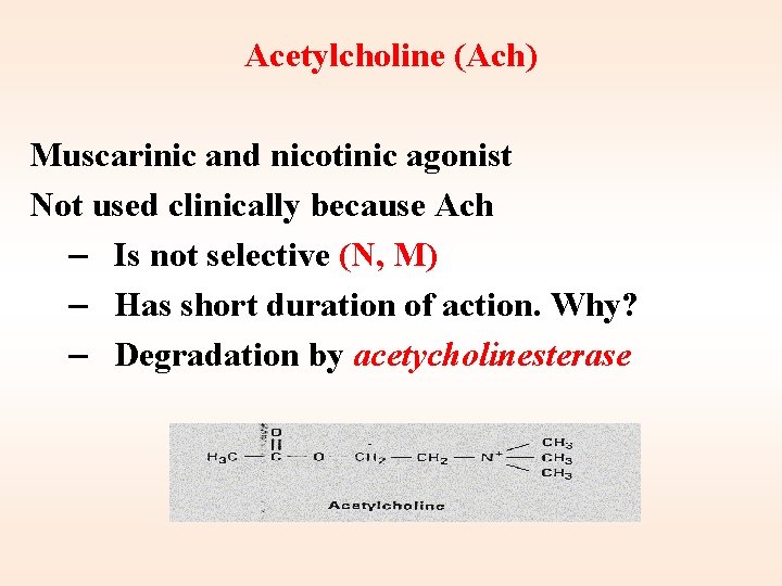 Acetylcholine (Ach) Muscarinic and nicotinic agonist Not used clinically because Ach – Is not