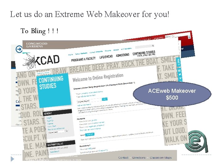 Let us do an Extreme Web Makeover for you! To Bling ! ! !