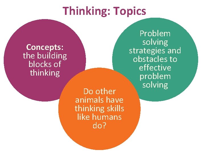 Thinking: Topics Concepts: the building blocks of thinking Do other animals have thinking skills