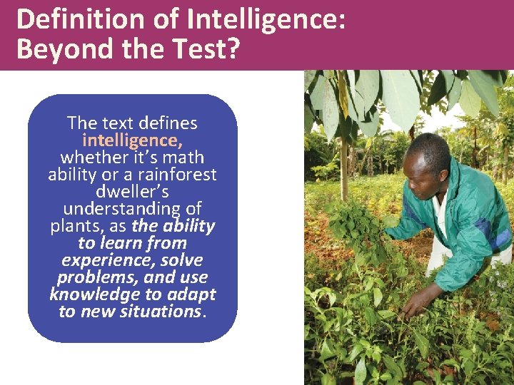 Definition of Intelligence: Beyond the Test? The text defines intelligence, whether it’s math ability