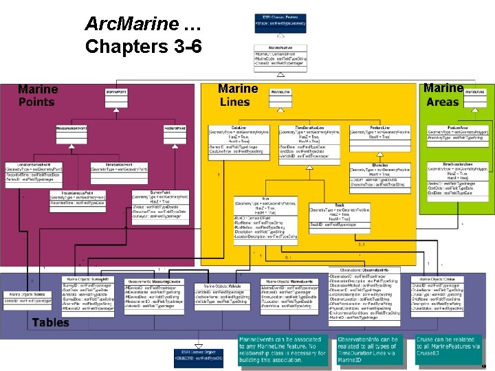 Arc. Marine … Chapters 3 -6 Marine 48 