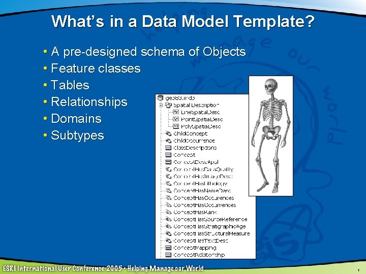 What’s in a Data Model Template? • A pre-designed schema of Objects • Feature