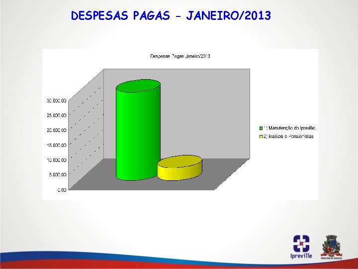 DESPESAS PAGAS - JANEIRO/2013 