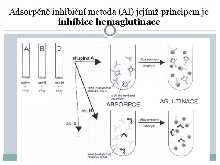 Adsorpčně inhibiční metoda (AI) jejímž principem je inhibice hemaglutinace 