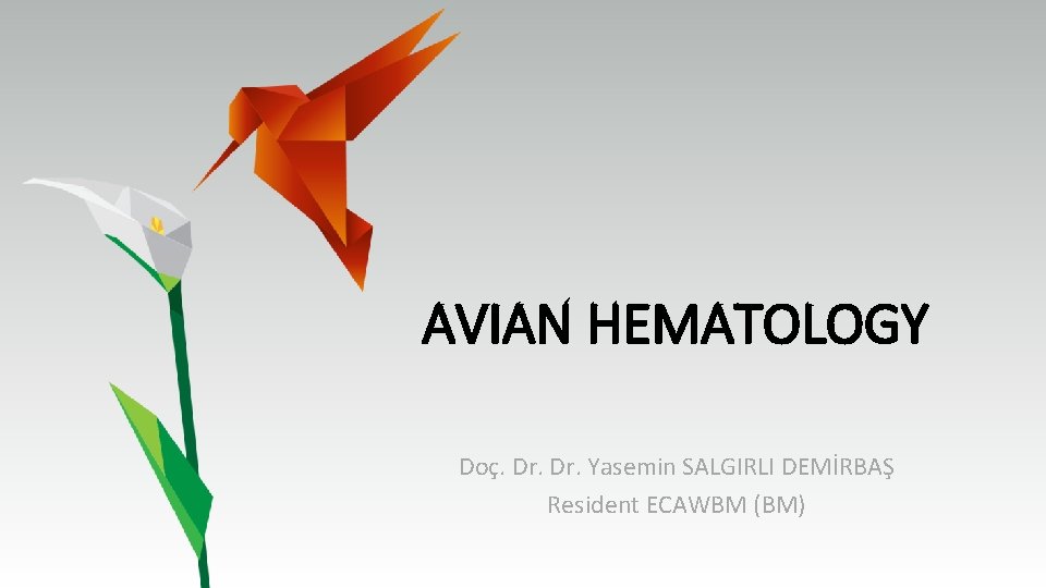 AVIAN HEMATOLOGY Doç. Dr. Yasemin SALGIRLI DEMİRBAŞ Resident ECAWBM (BM) 