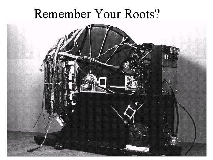 Remember Your Roots? 11 
