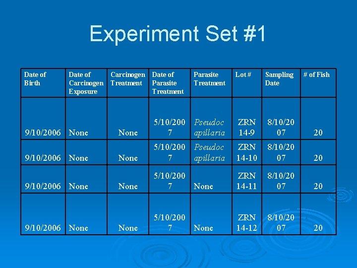 Experiment Set #1 Date of Birth Date of Carcinogen Exposure 9/10/2006 None Carcinogen Treatment