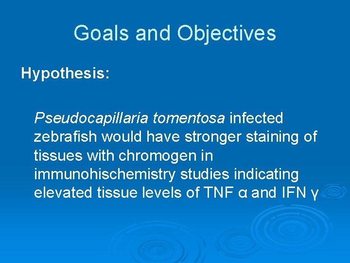 Goals and Objectives Hypothesis: Pseudocapillaria tomentosa infected zebrafish would have stronger staining of tissues