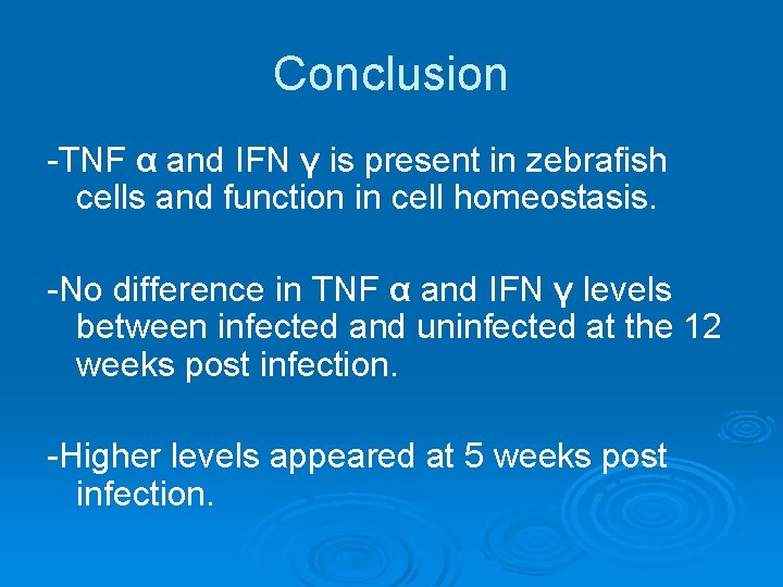 Conclusion -TNF α and IFN γ is present in zebrafish cells and function in