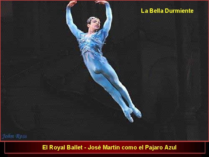 La Bella Durmiente El Royal Ballet - José Martin como el Pajaro Azul 