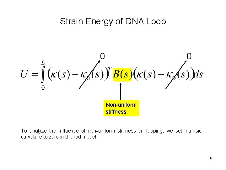 Strain Energy of DNA Loop 0 0 Non-uniform stiffness To analyze the influence of