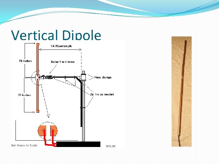 Vertical Dipole 