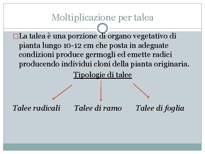 THYGIFTREE Stazioni di propagazione delle piante con supporto in legno, lampadin
