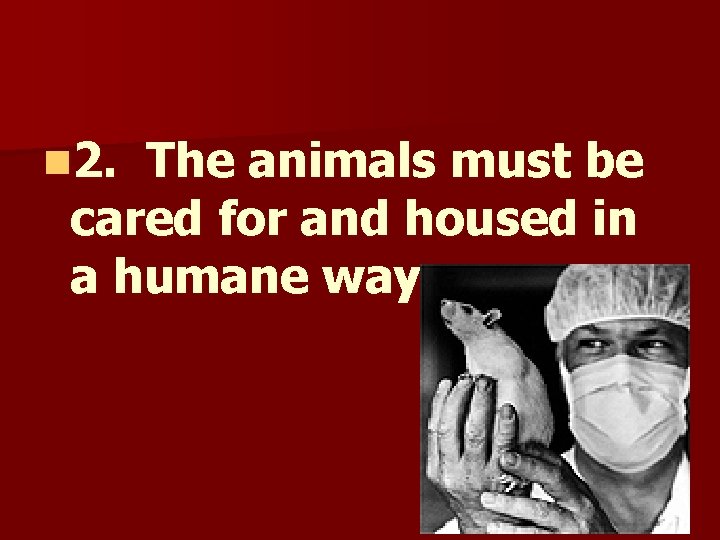 n 2. The animals must be cared for and housed in a humane way.