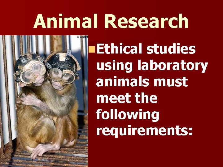Animal Research n. Ethical studies using laboratory animals must meet the following requirements: 