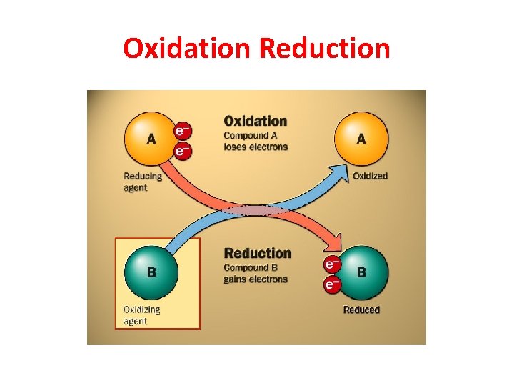 Oxidation Reduction 