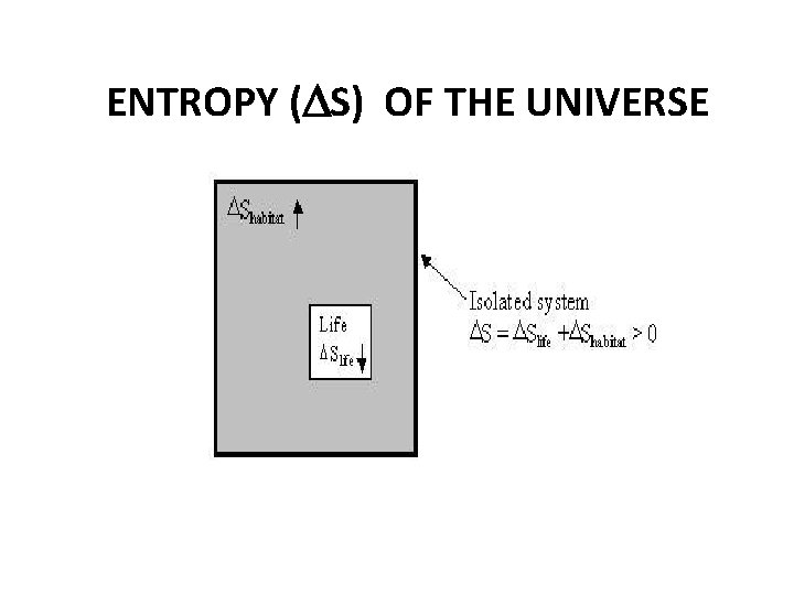 ENTROPY (DS) OF THE UNIVERSE 