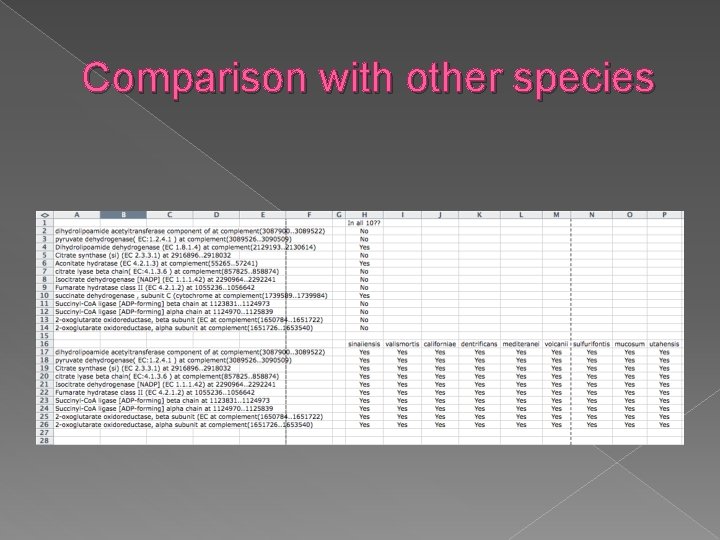 Comparison with other species 