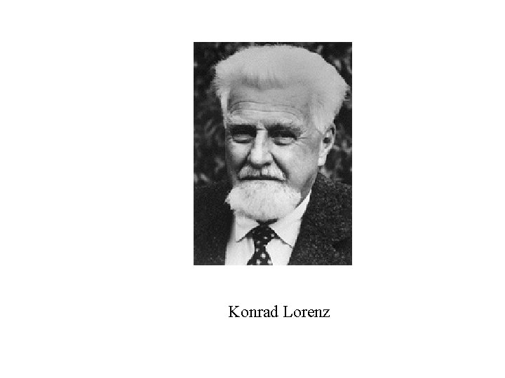 Konrad Lorenz 