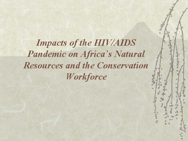 Impacts of the HIVAIDS Pandemic on Africas Natural