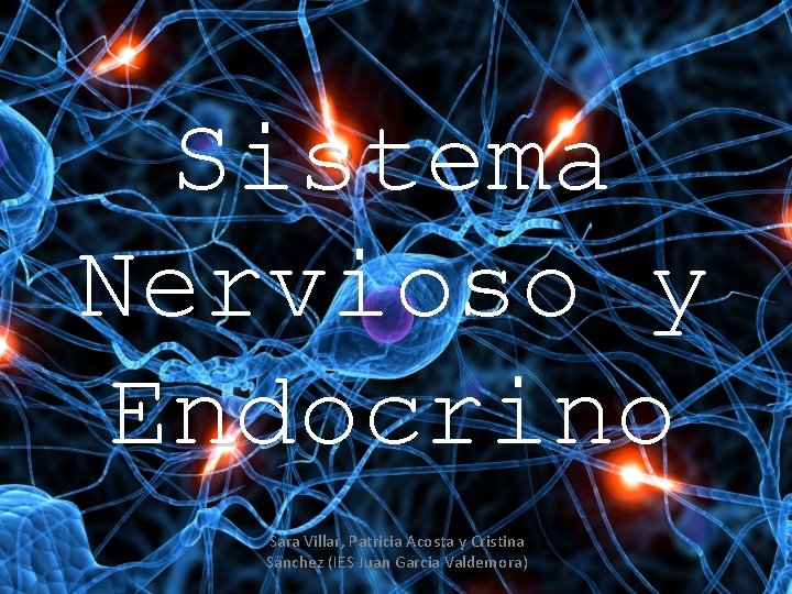 Sistema Nervioso y Endocrino Sara Villar, Patricia Acosta y Cristina Sánchez (IES Juan Garcia