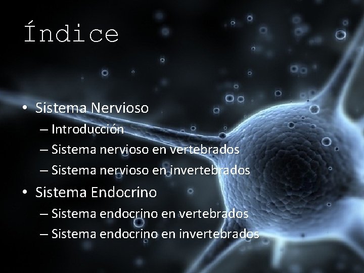 Índice • Sistema Nervioso – Introducción – Sistema nervioso en vertebrados – Sistema nervioso